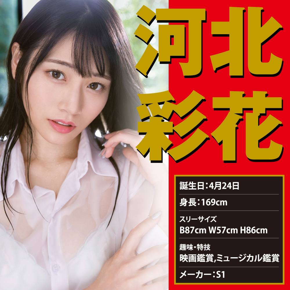 JAPANESEREALHOLE 激 河北彩花 - 画像 (3)