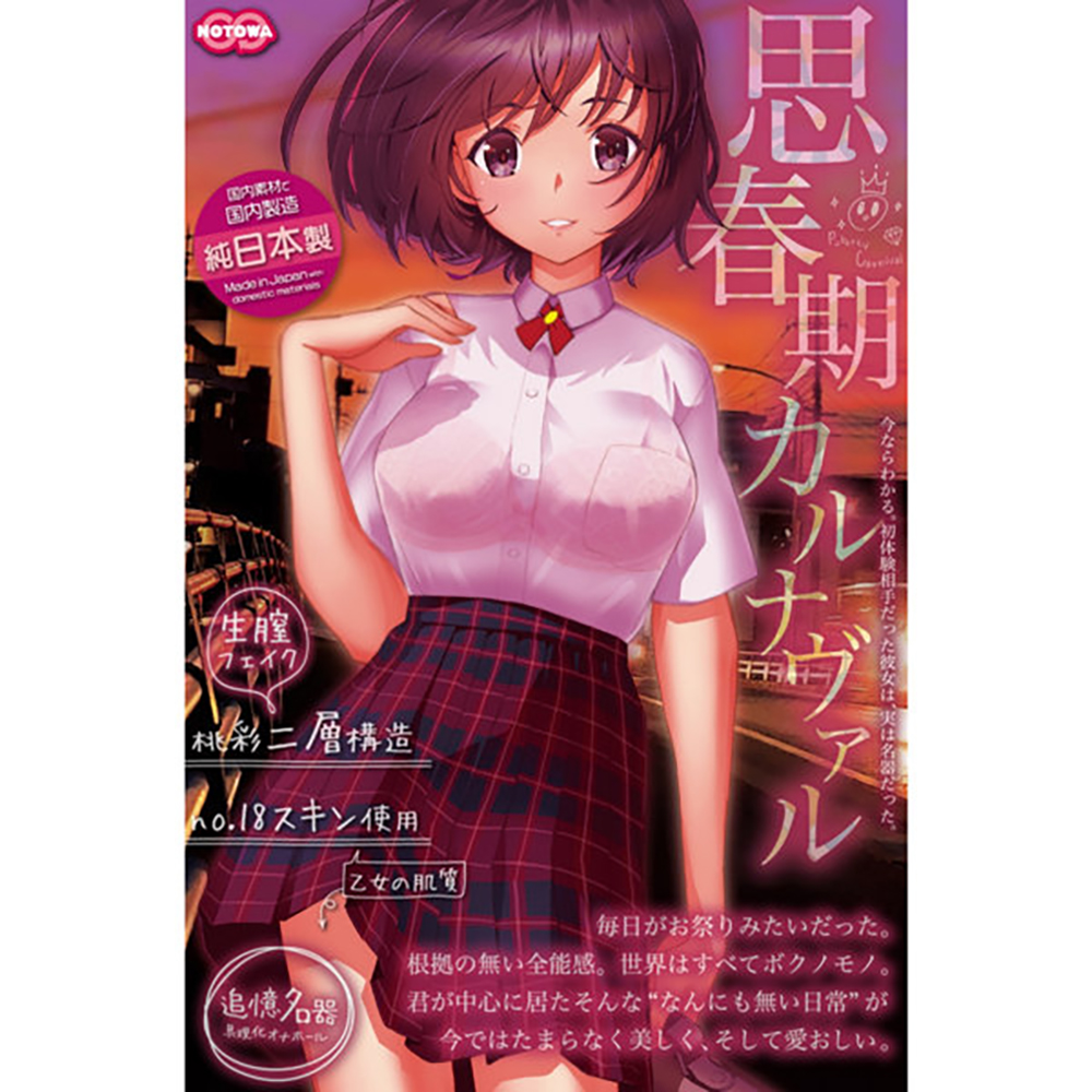 思春期カルナヴァル - 画像 (5)