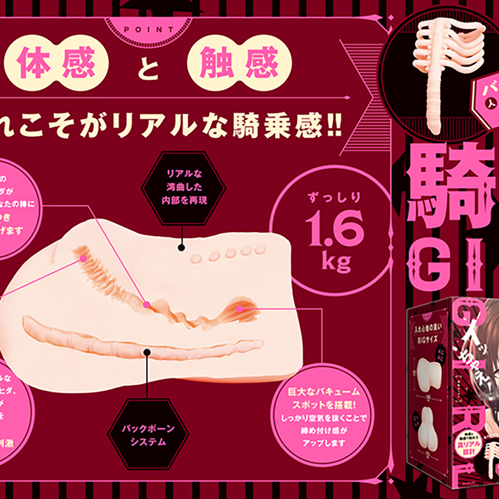 騎乗GIRL - 画像 (4)