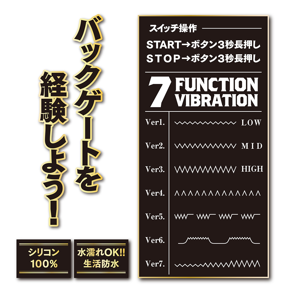 バックファイアー MADNESS V - 画像 (2)