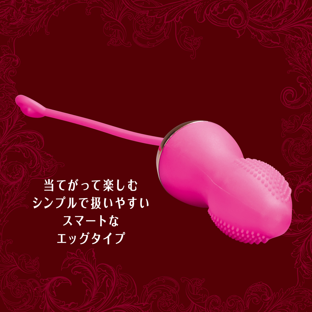 Dualady 2WAYワイヤレスローター - 画像 (4)