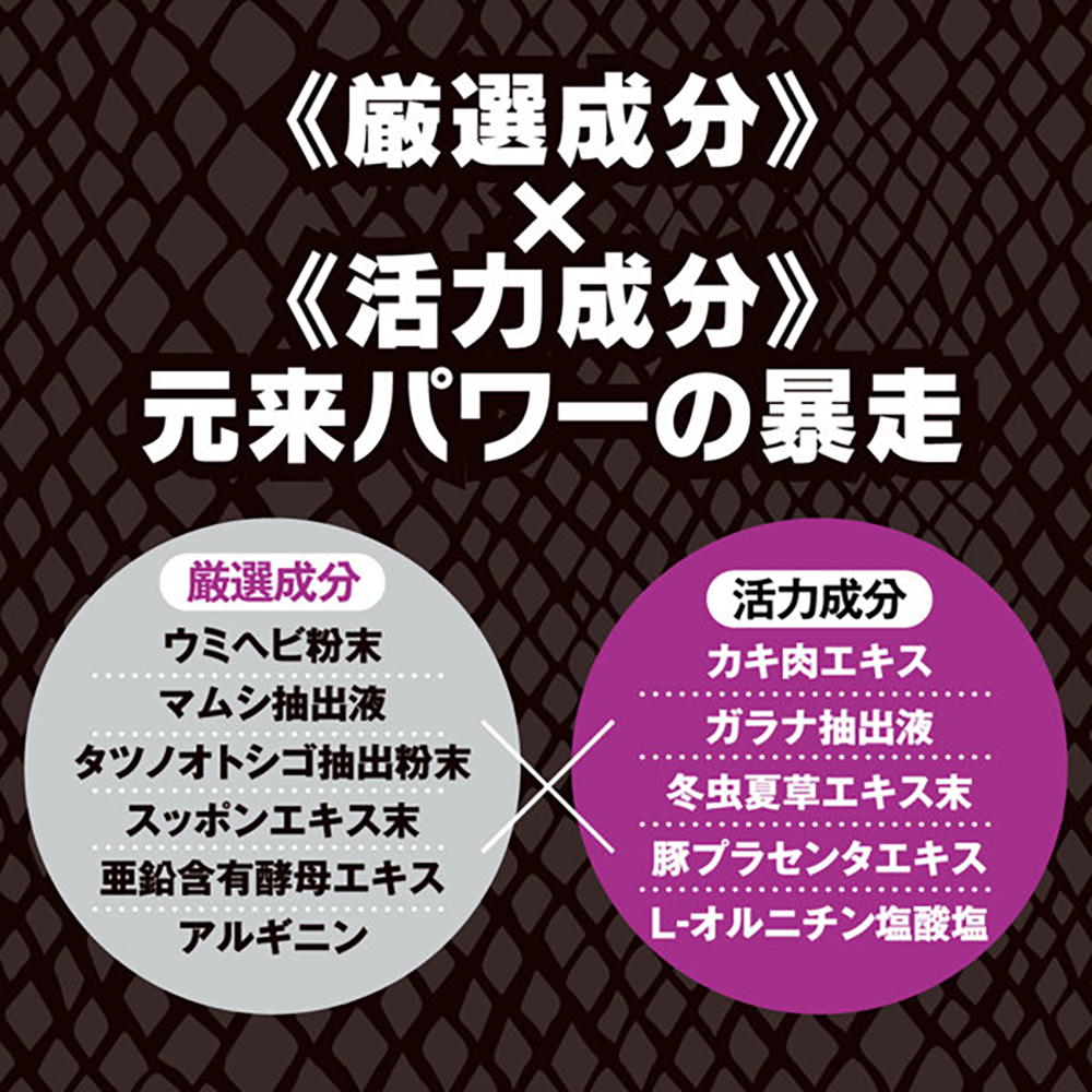 ストロングD 海蛇 ドリンク 暴走 -リミットチャージ- - 画像 (6)