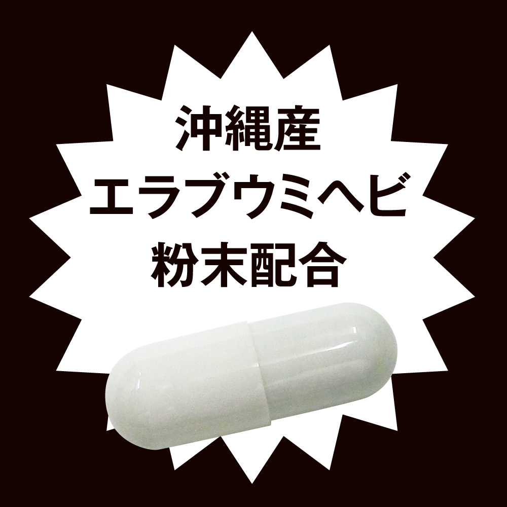 ストロングD 海蛇 5回分 - 画像 (6)