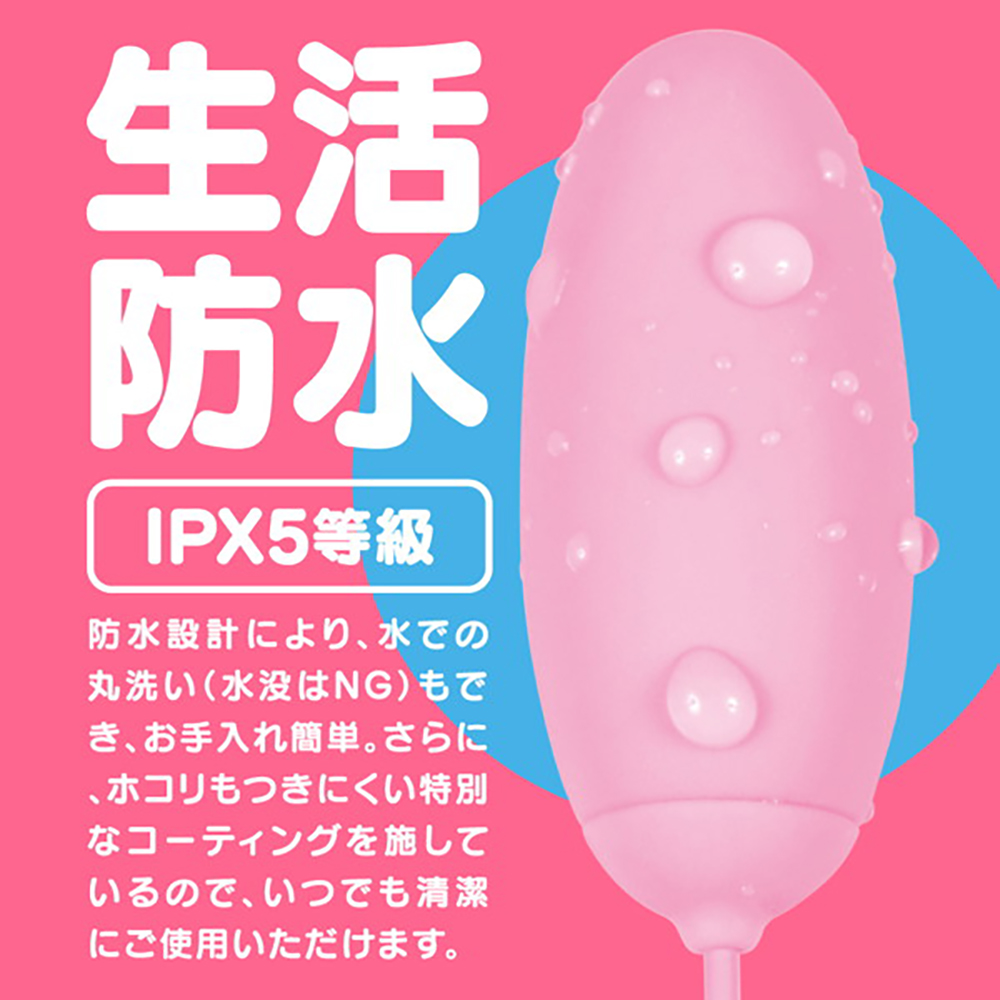 GPRO PINK ROTOR - 画像 (4)