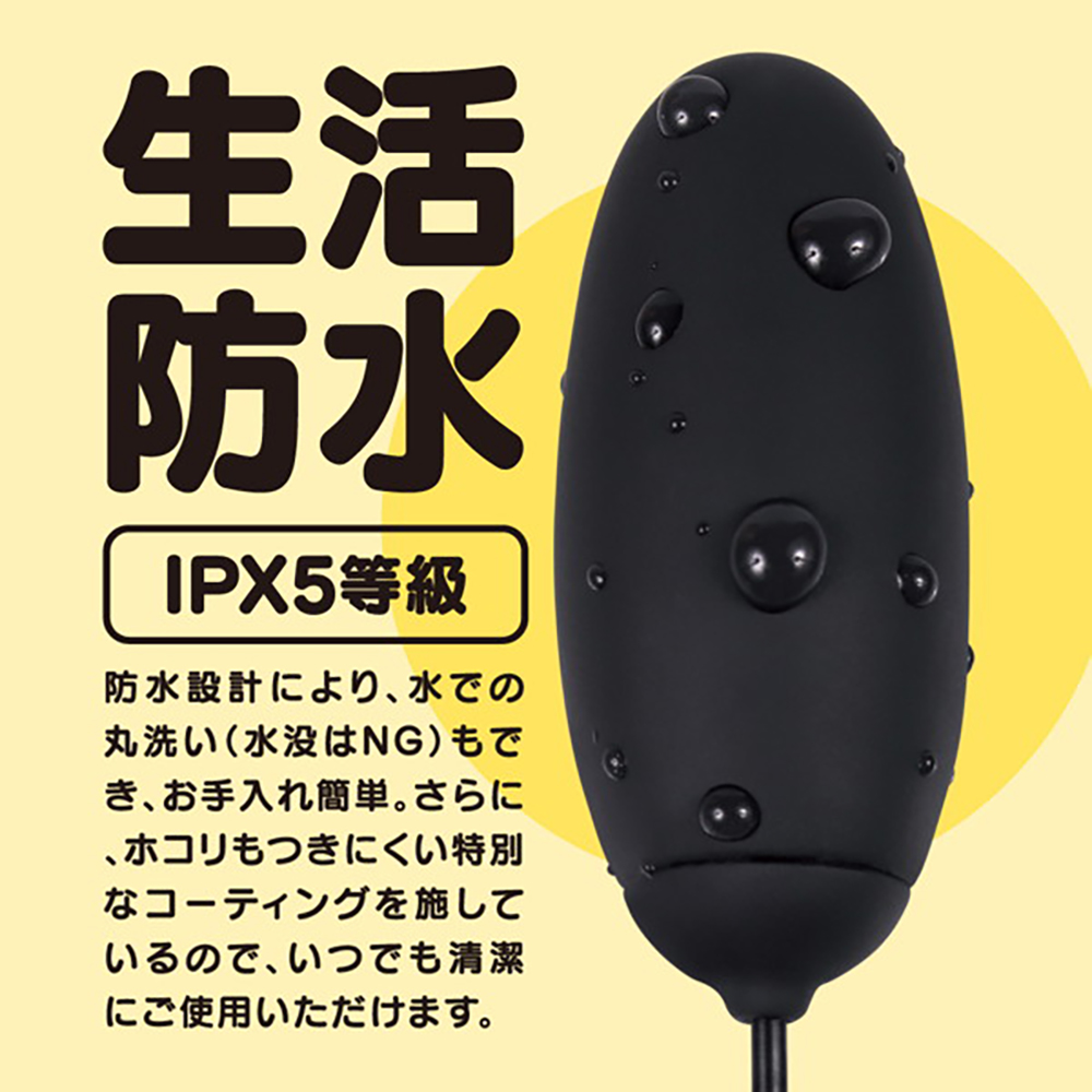 GPRO BLACK ROTOR - 画像 (4)