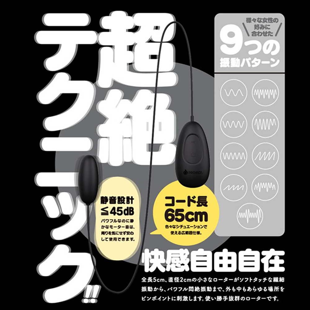 GPRO BLACK ROTOR - 画像 (3)