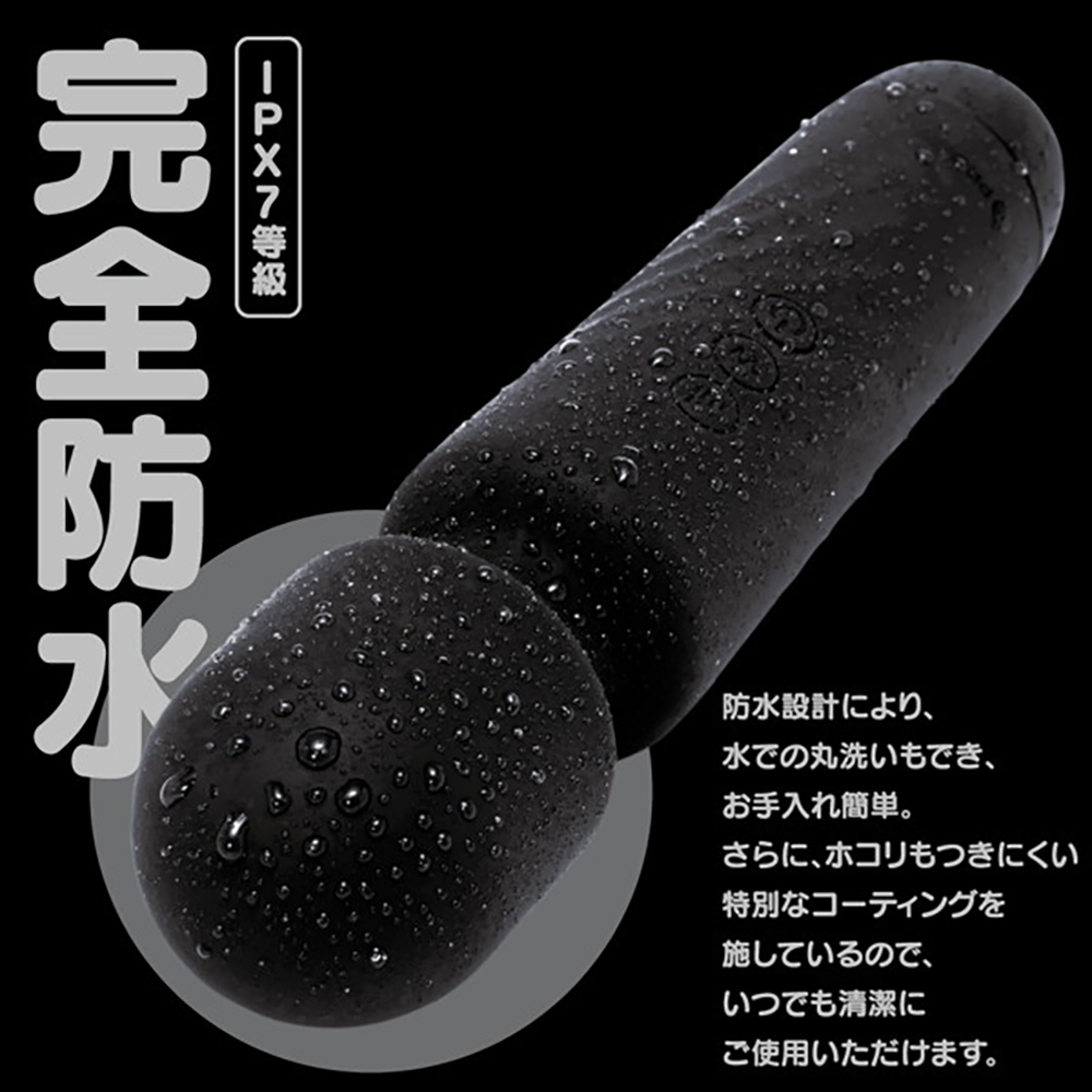完全防水 GPRO DENMA BLACK - 画像 (2)