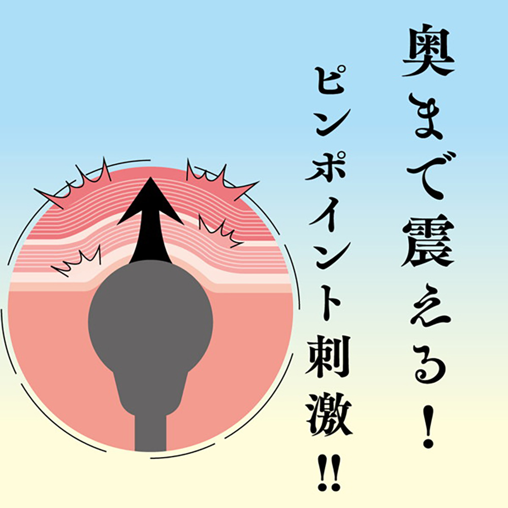 フェザータッチ STICK ROTOR BLACK - 画像 (3)