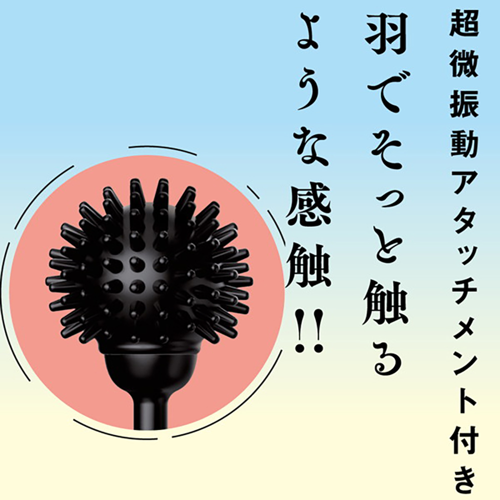 フェザータッチ STICK ROTOR BLACK - 画像 (2)